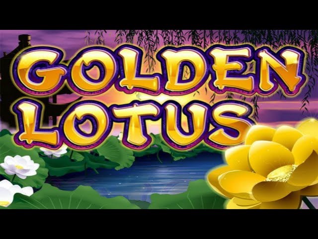 Aria Phan chia sẻ hướng dẫn chơi Golden Lotus slot tại 188bet luôn thắng